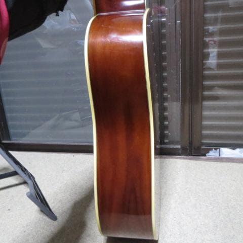 Morris MD-526 アコースティックギター ギグバッグ付 縦ロゴ