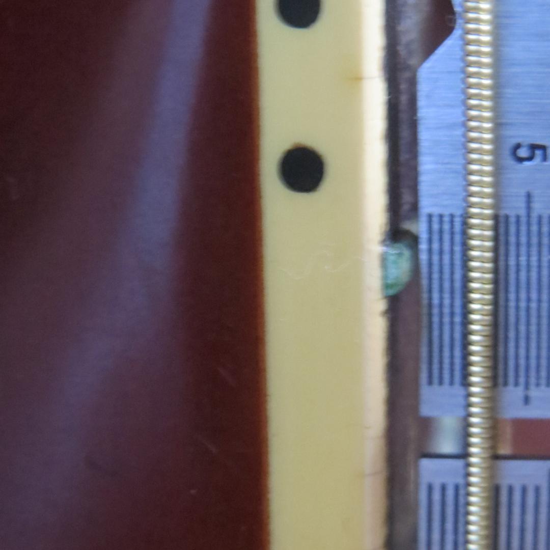 Morris MD-526 アコースティックギター ギグバッグ付 縦ロゴ