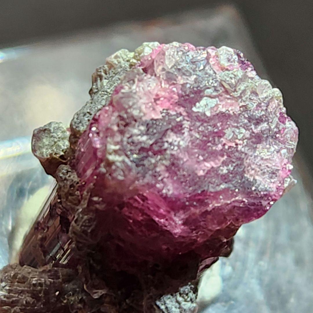 トルマリン(ルベライト) ＆マイカ(雲母) 共生原石