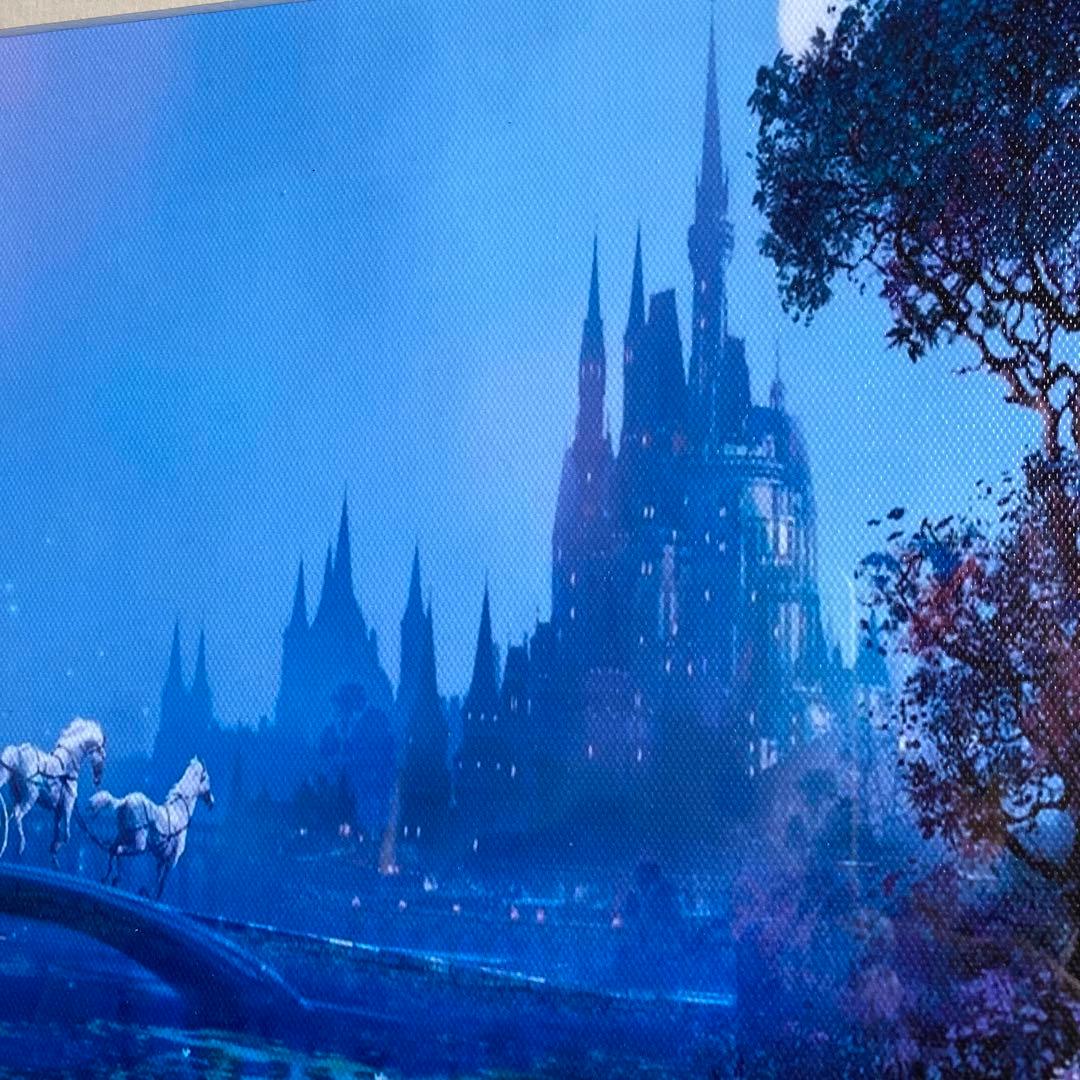 ステファン　マーチンエアー　シンデレラ城　額装品