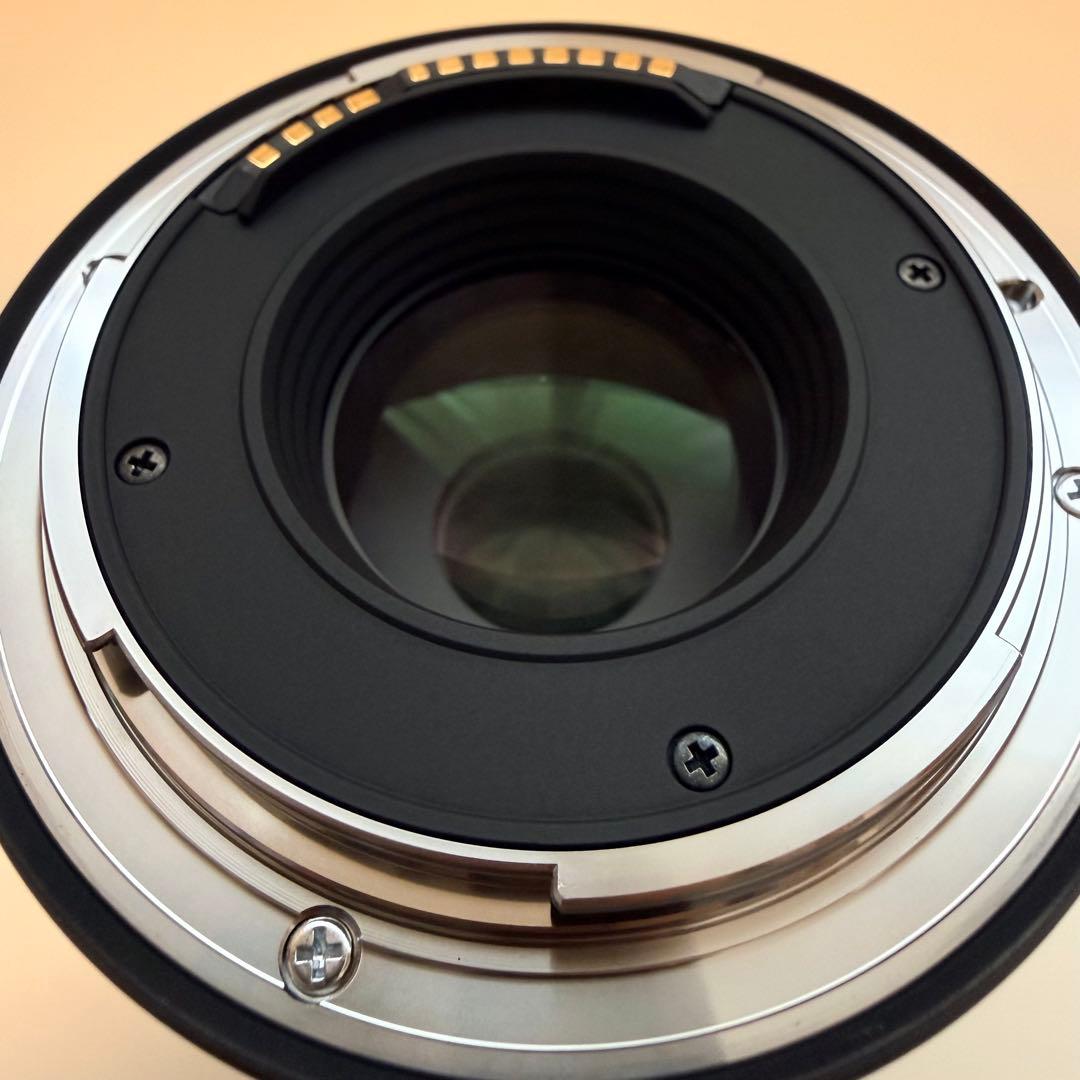 SIGMA 16-300mm RF 高倍率ズーム