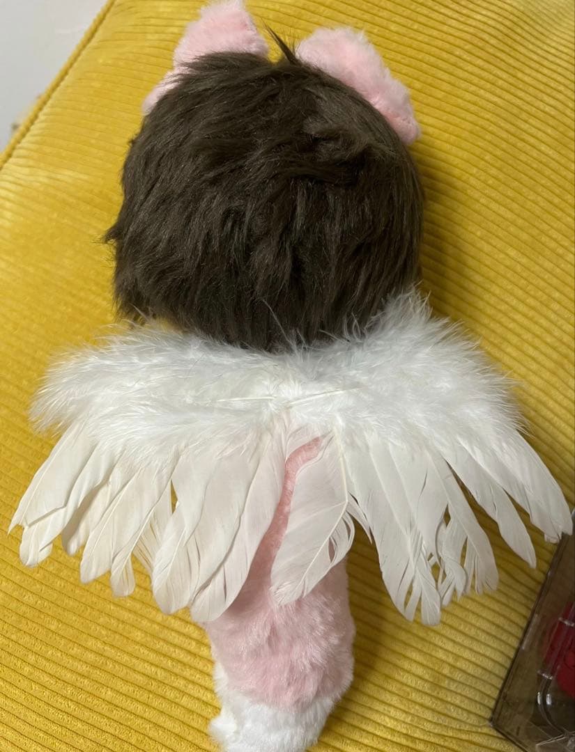 20cm 任嘉伦 アレン・レン ぬいぐるみ 流水迢迢 与君初相识 0325②