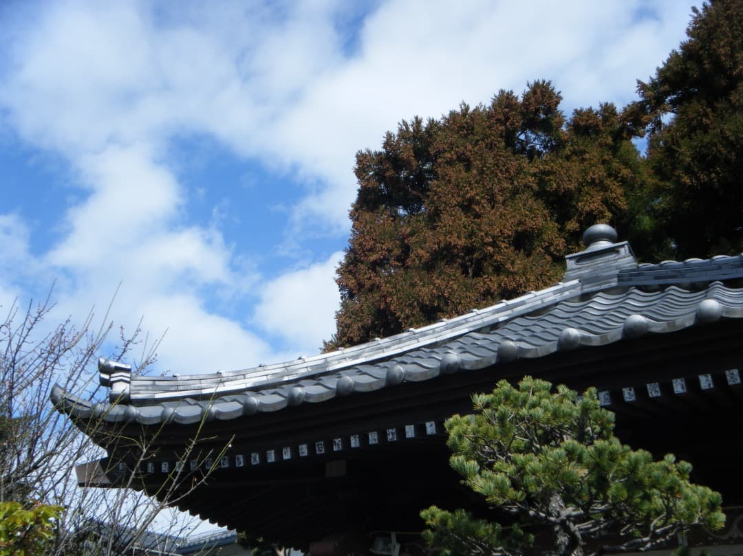 実写美⭕️【動作確認済み】FUJIFILM FinePix Z33WP