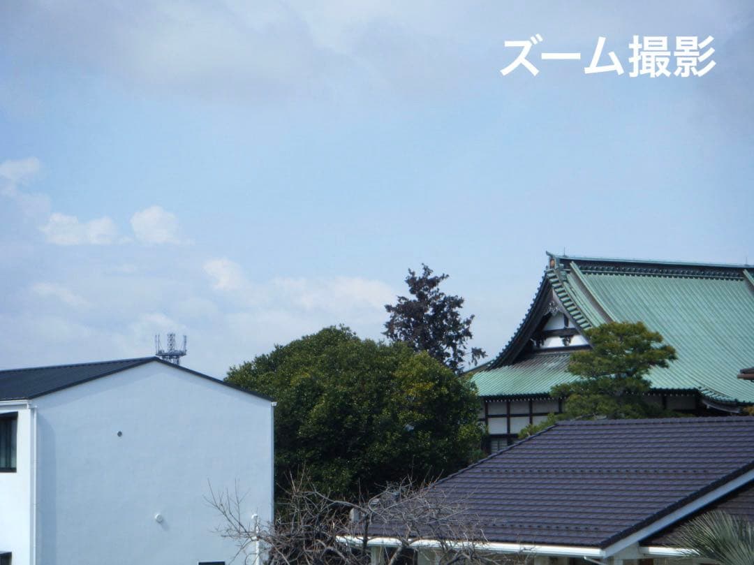 実写美⭕️【動作確認済み】FUJIFILM FinePix Z33WP