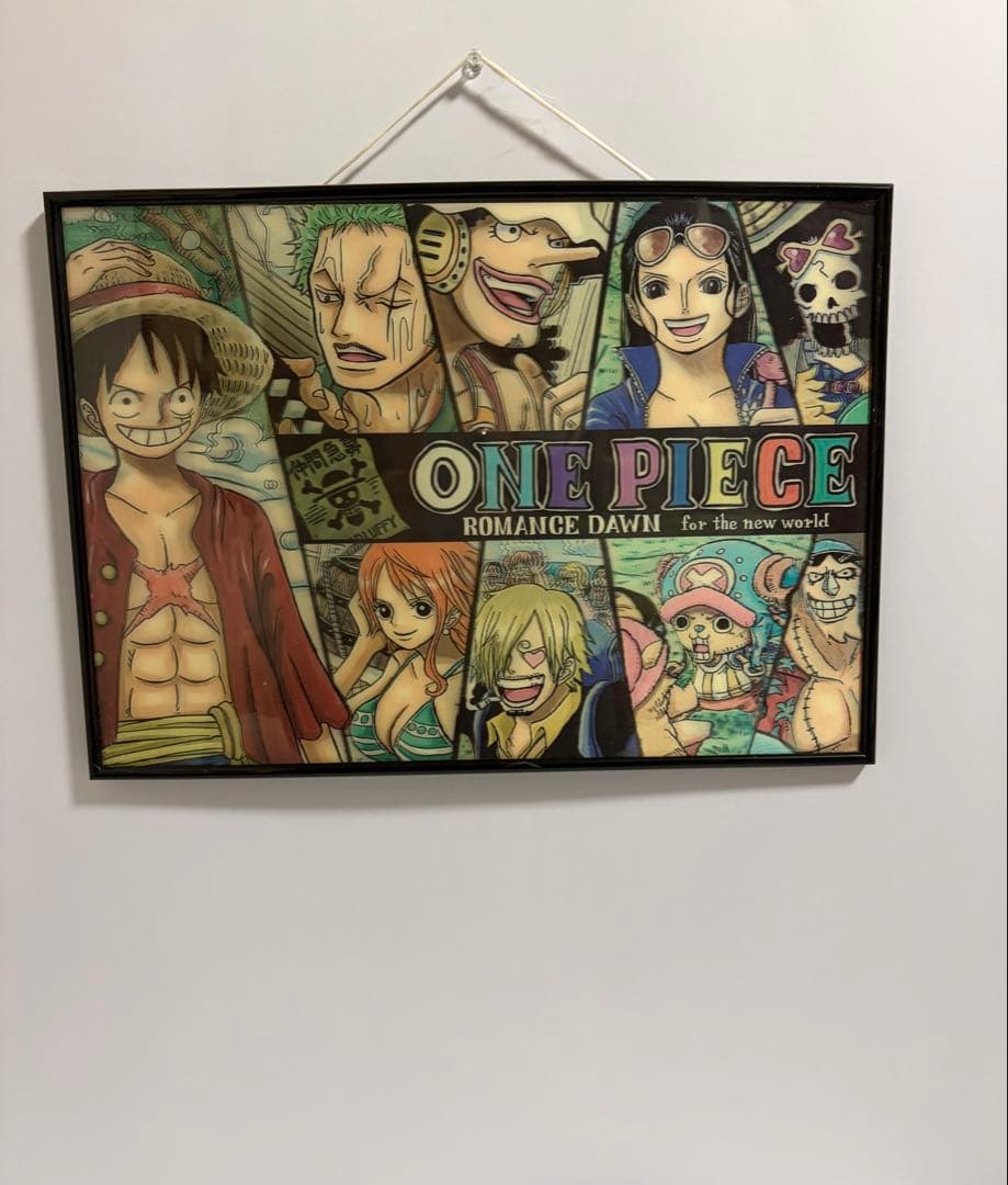 ONE PIECE 額装ポスター ROMANCE DAWN フレームアート