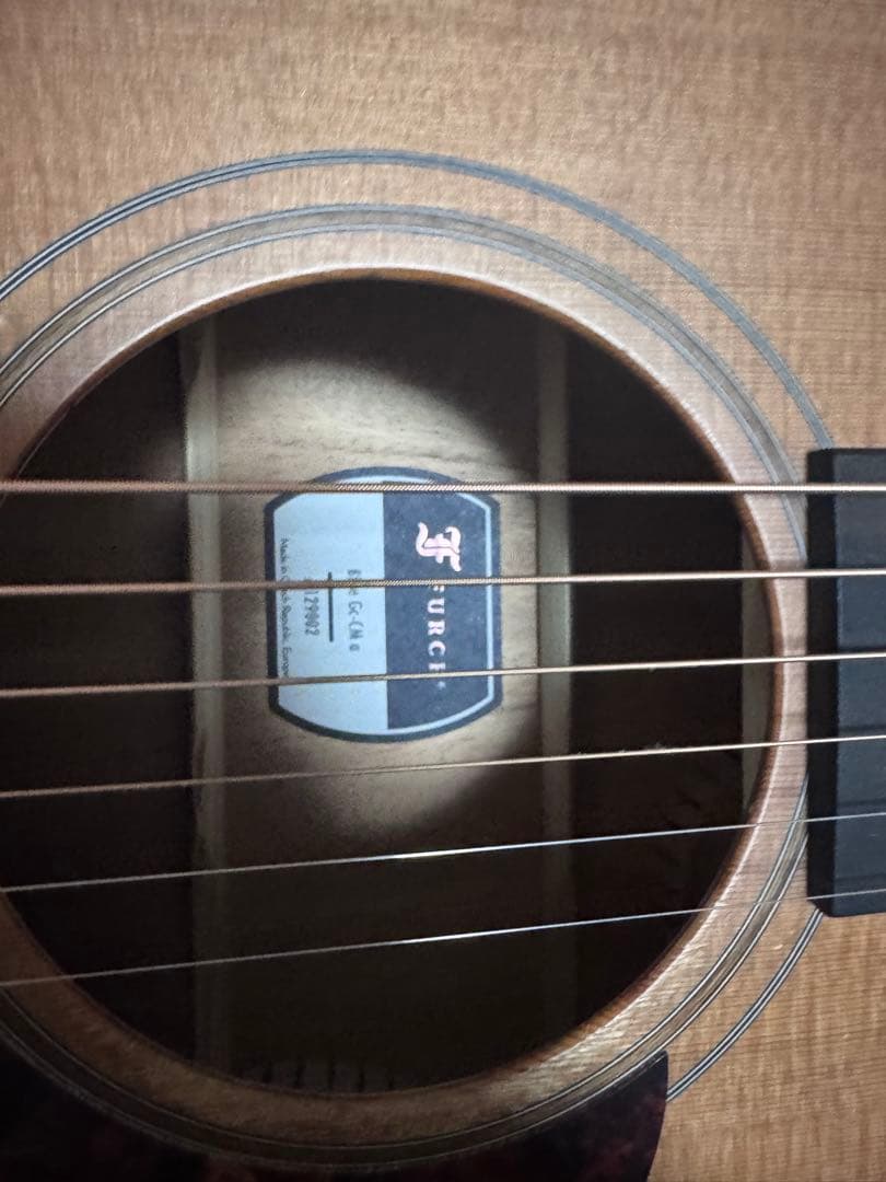 furch blue GCCMアコースティックギター