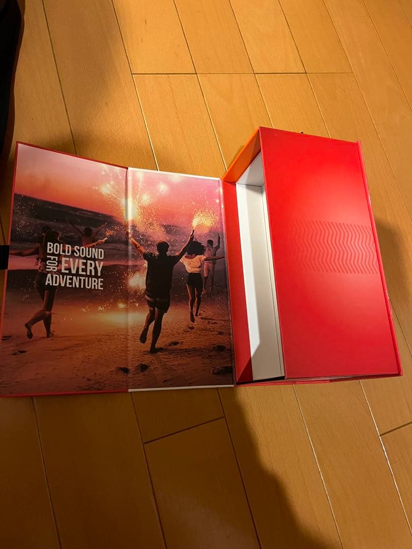 溶けた☆JBL FLIP6 赤