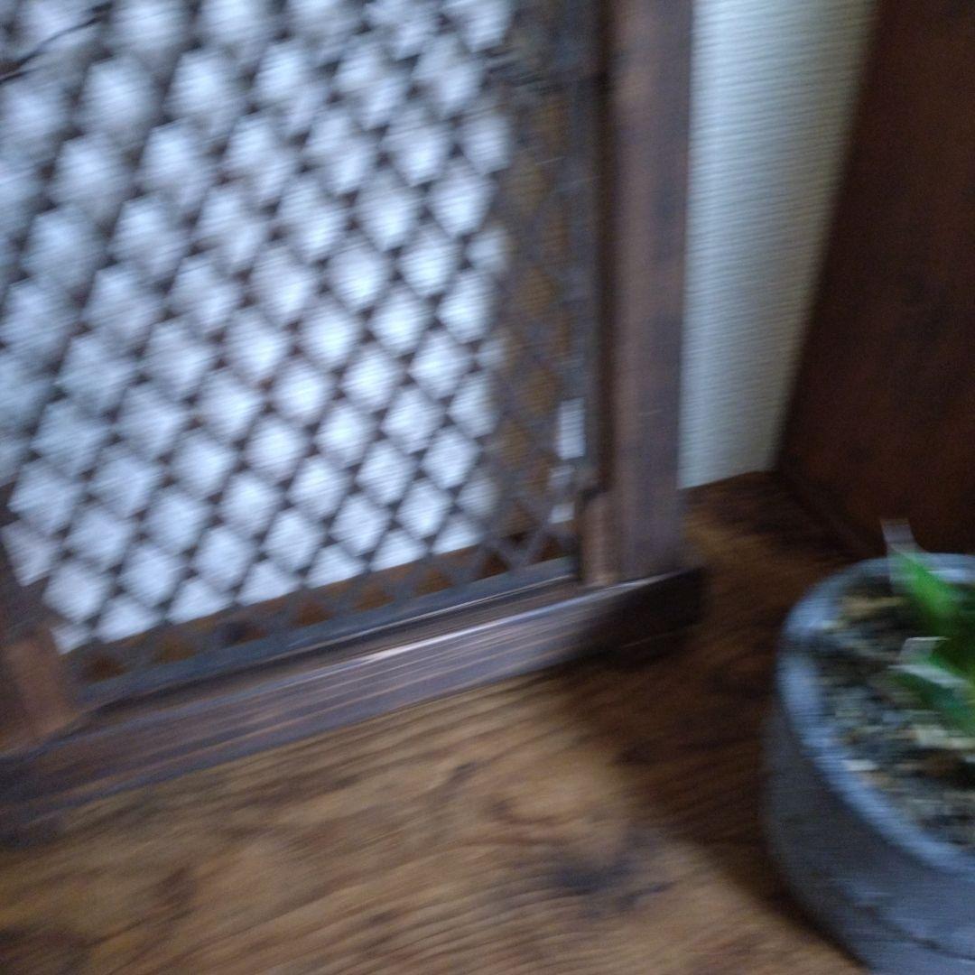 ❋ビカクシダホルダーCset 2枚組❋