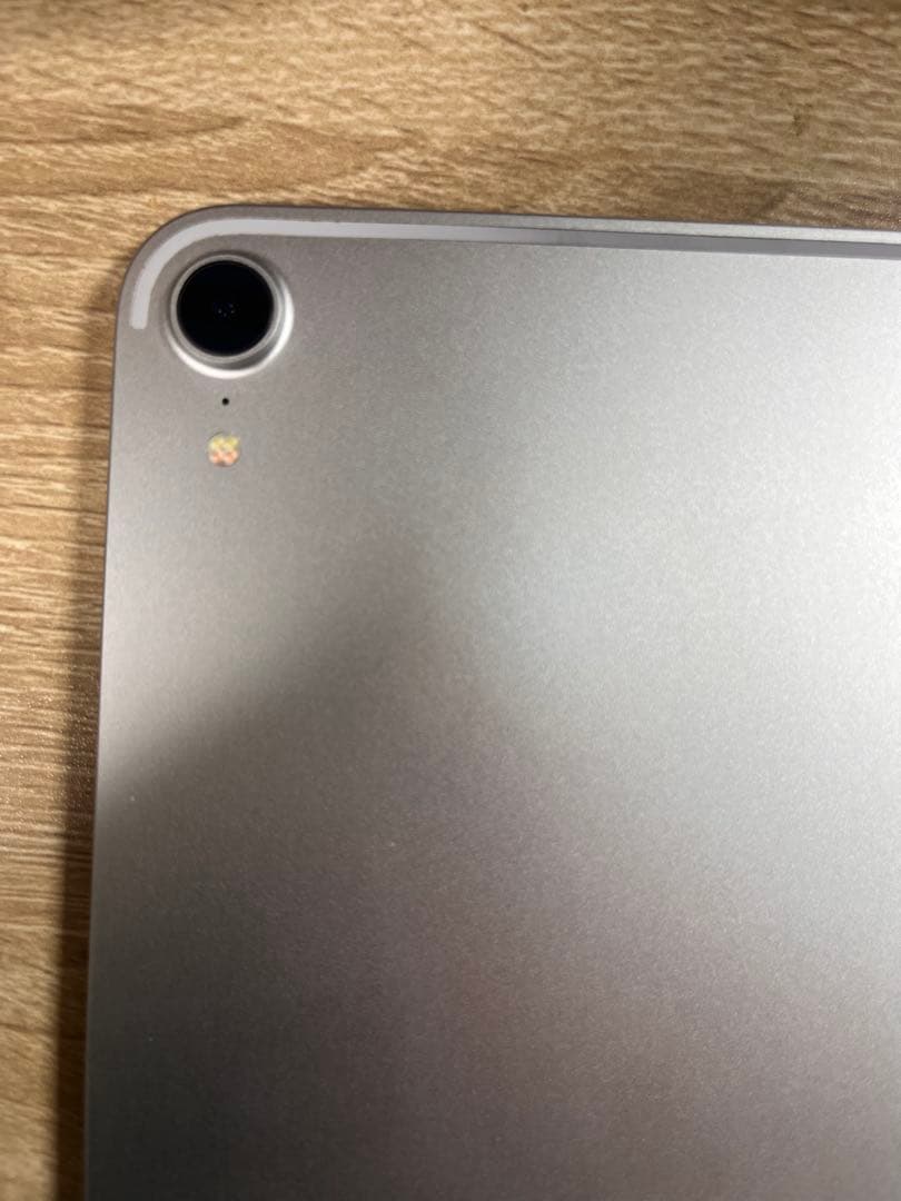 【美品】iPadpro12.9第三世代256GB ApplePencil付き