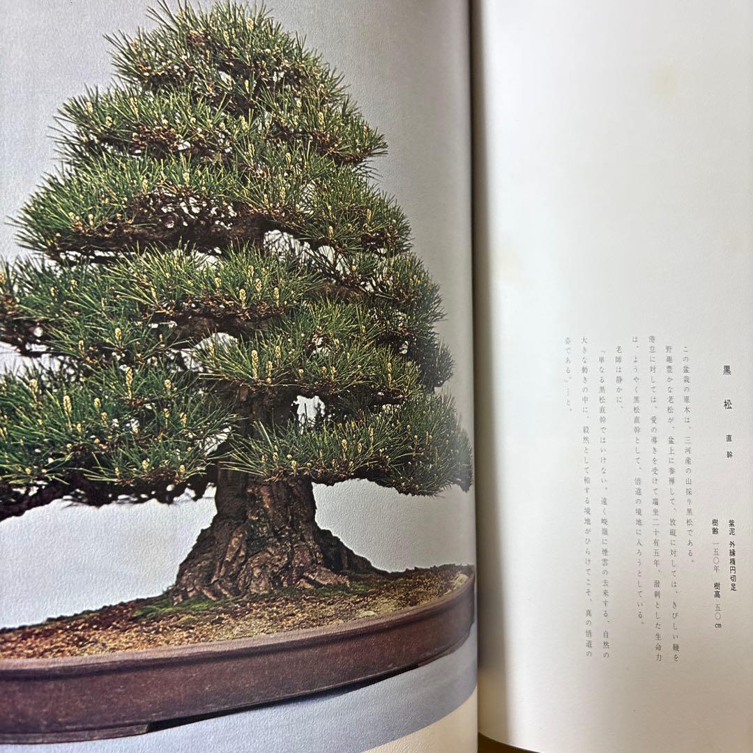 日本盆栽大観 日本盆栽協会 初版