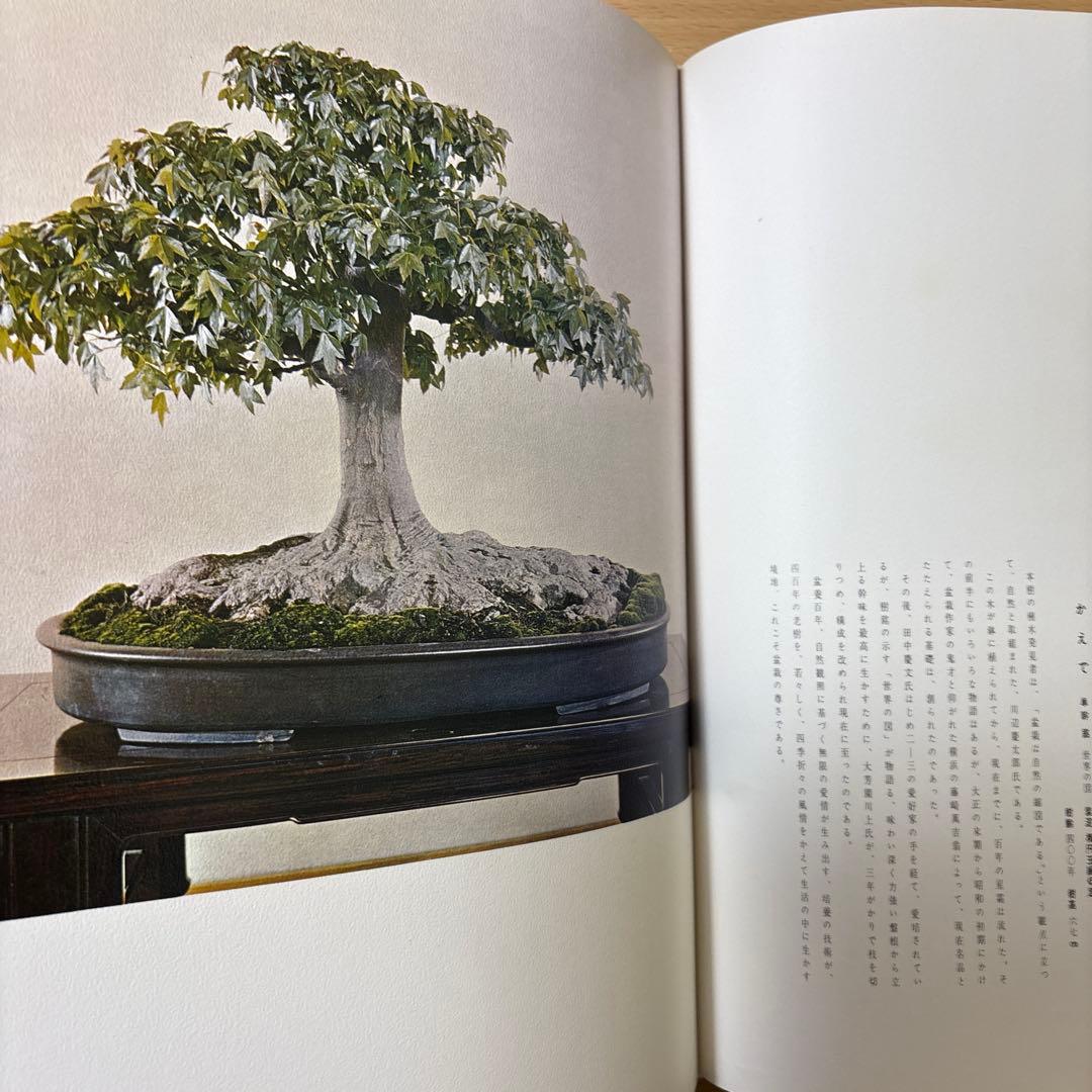 日本盆栽大観 日本盆栽協会 初版