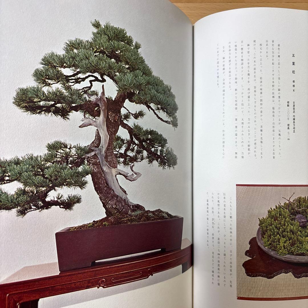日本盆栽大観 日本盆栽協会 初版