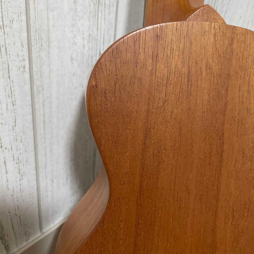 ヘッドウェイ　ディバイザー　UG-ONE 6弦ウクレレ‼️ ケース付き