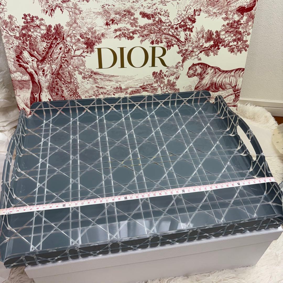 新品 DIOR トレイ カナージュ ブラック ラージサイズ