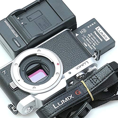 Panasonic ミラーレス一眼カメラ DMC-GF7