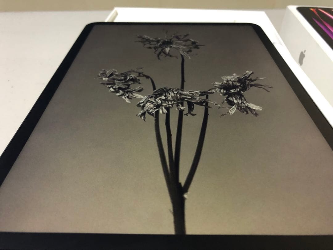 iPad Pro 11インチ 第4世代 Wi-Fi 128GB+Pen M2