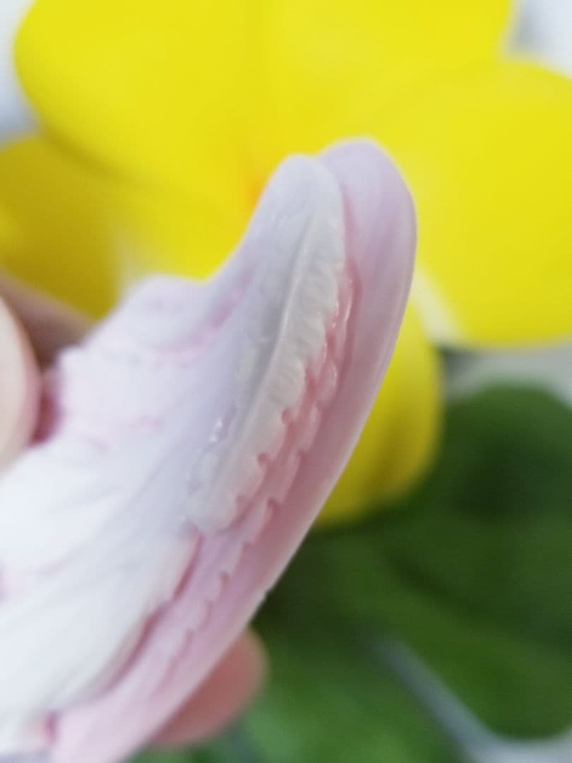 KC-026 サイン有り　天然コンクしているカメオ