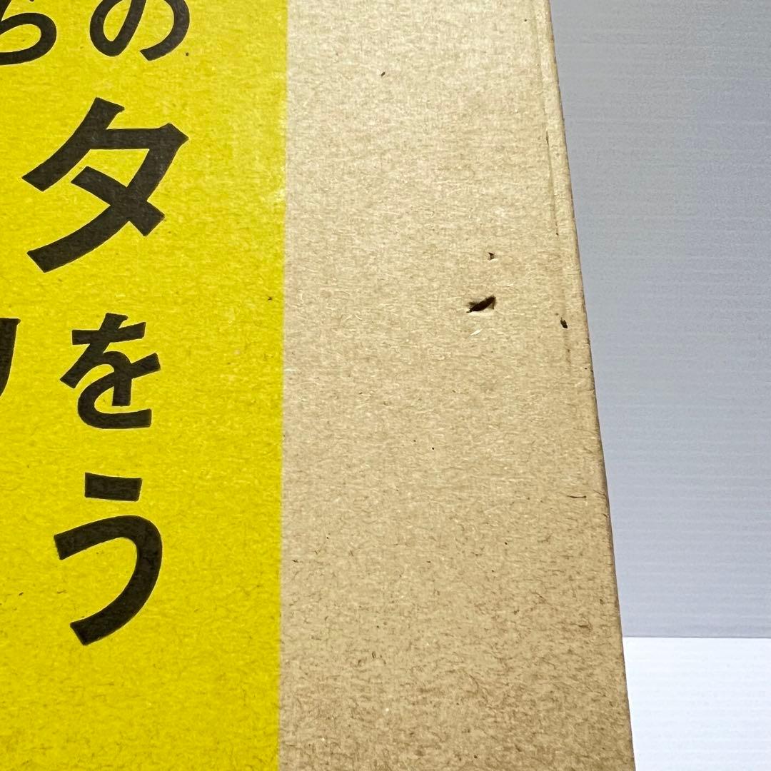 【新品未使用】マキシマムザホルモン 丼 ヴィレヴァンコラボ限定商品【箱付き】