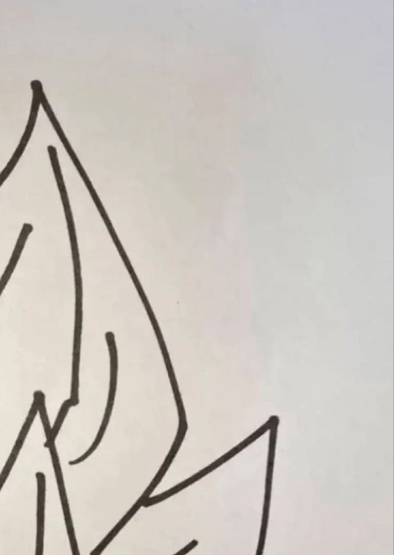 ドラゴンボール 鳥山明 複製スペシャルサイン