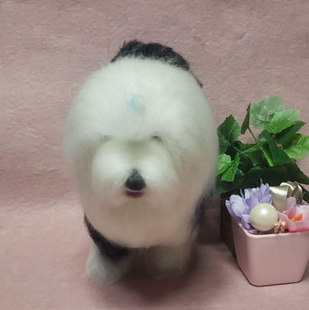 羊毛フェルト オーダー オールドイングリッシュシープドッグ