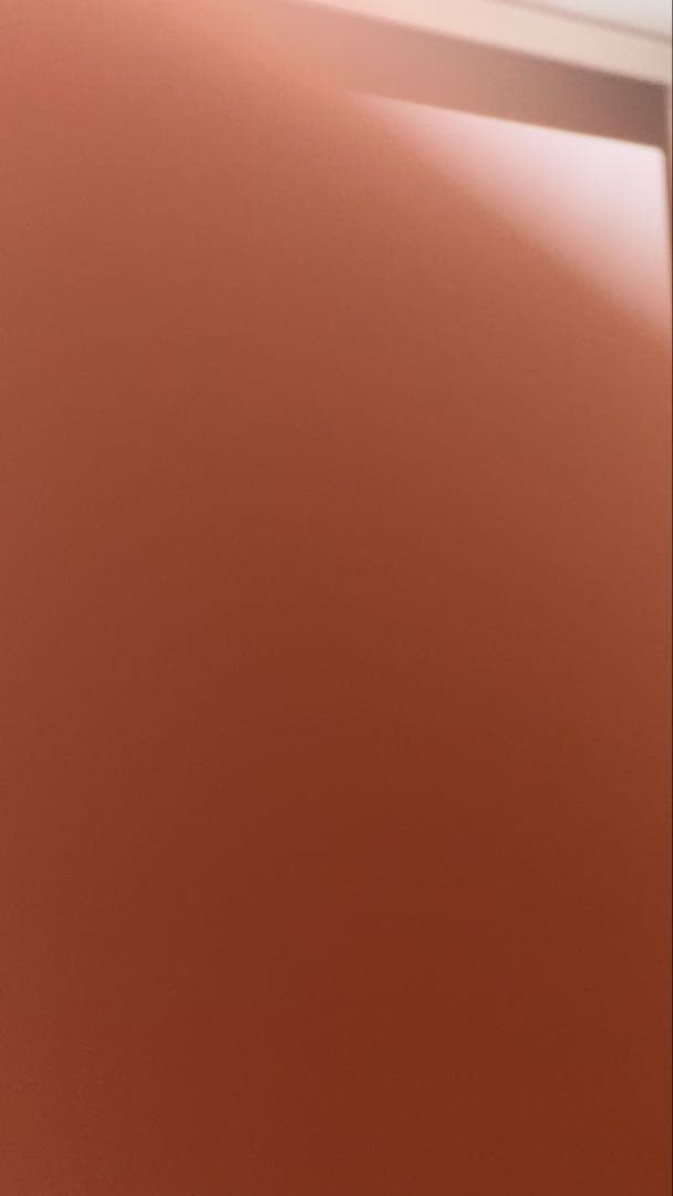 レオンさま専用