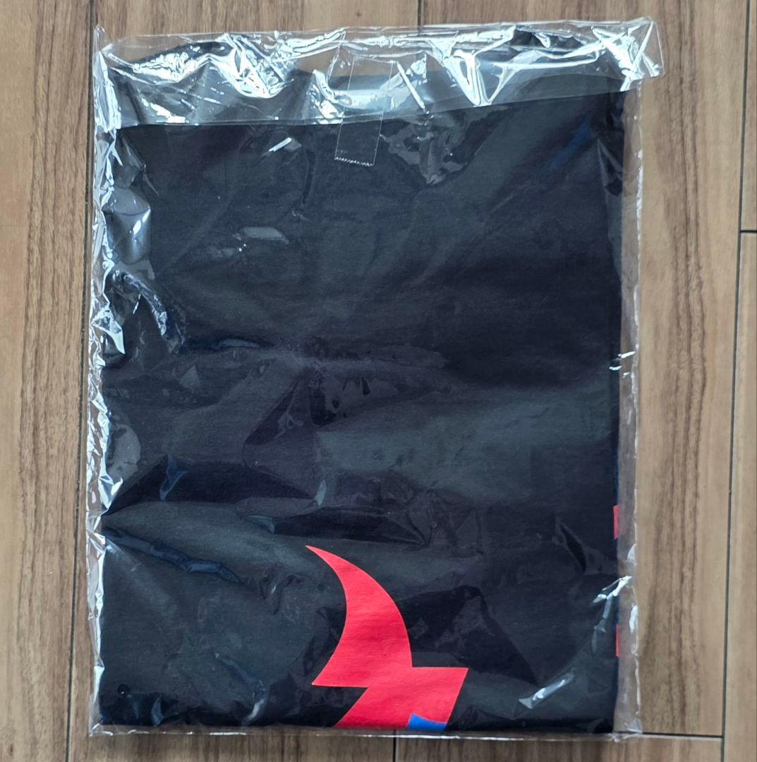 【新品】ROTTENGRAFFTY 逆ロットンTシャツ 2025 Lサイズ