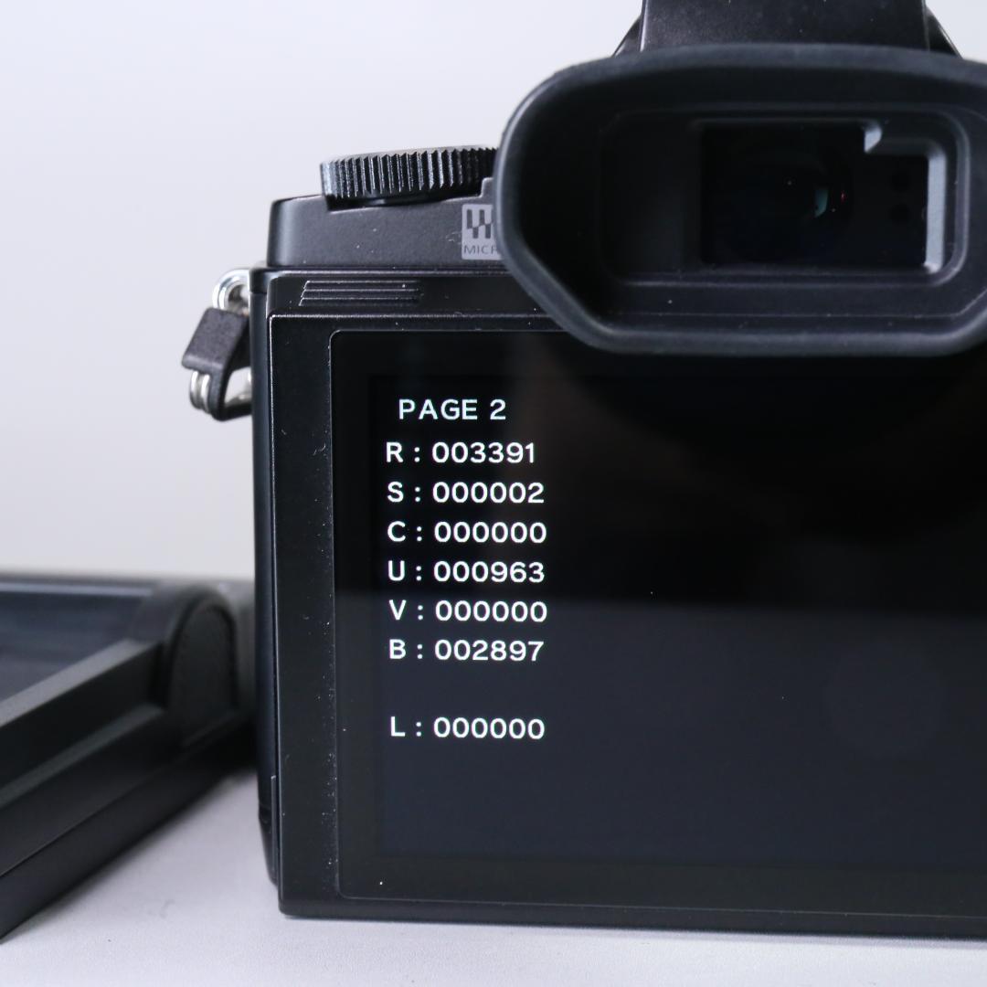 ☆未使用級☆ショット3391回　オリンパス E-M5 25　F1.8　＃318