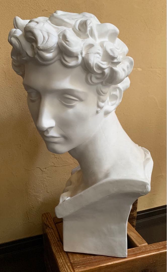 石膏像　メディチ