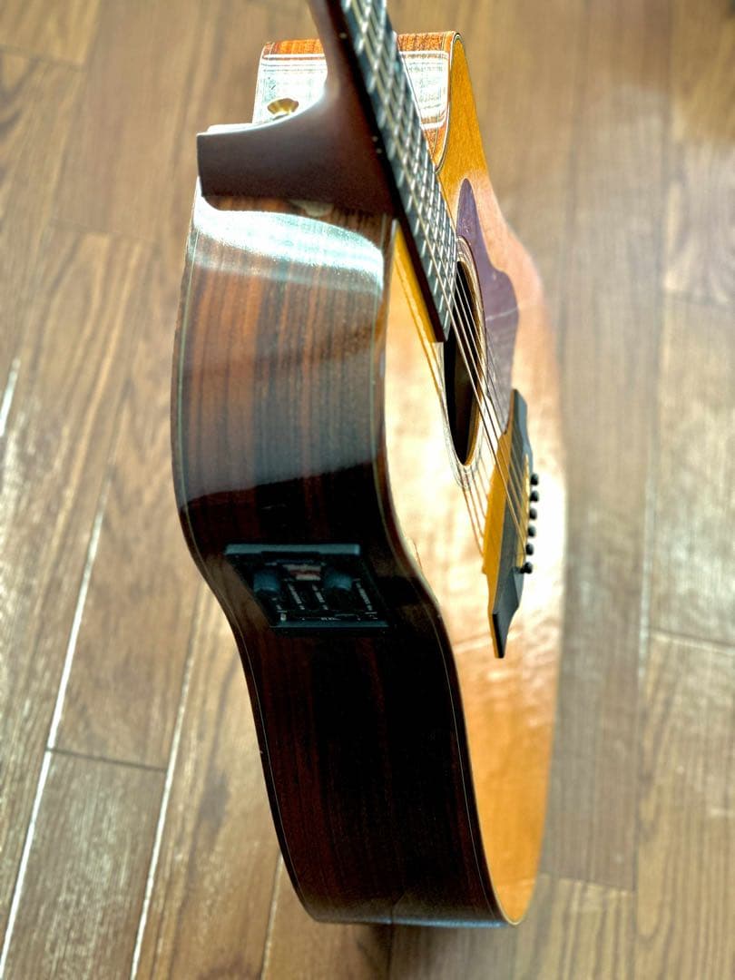 Taylor 710ce アコースティックギター