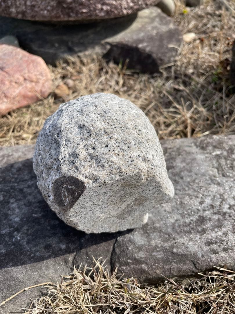 フクロウ(石の手彫り)