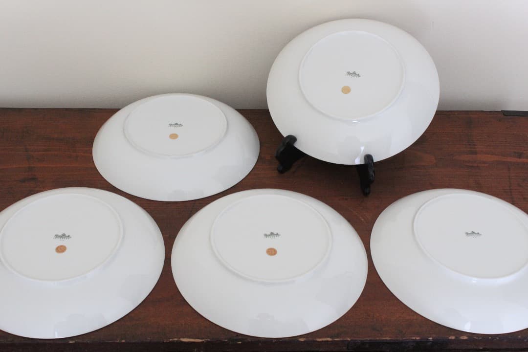 Rosenthal　ローゼンタール　ラプソディー　２２cmプレート　５枚　廃盤