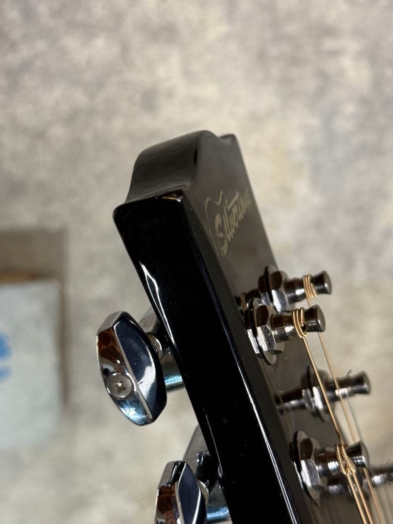 【希少】KISS ポール・スタンレー Silvertone PS D1 BK