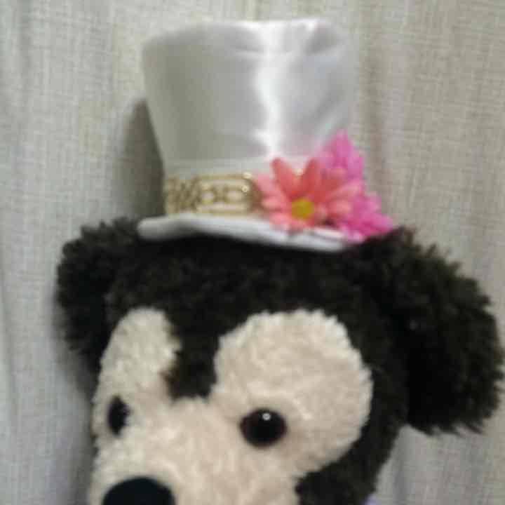 シェリーメイ衣装