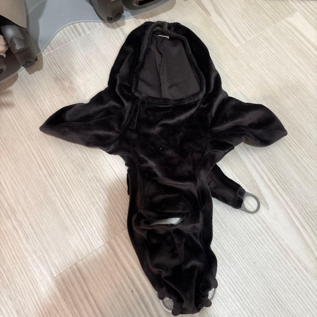 【動作確認済み ネスト・服つき】ラボット 本体 デュオ　LOVOT