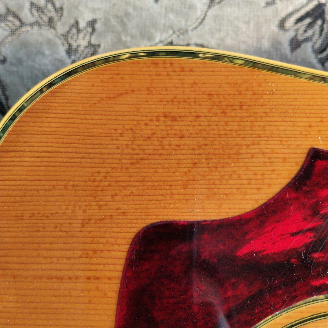 珍品 “タツノオトシゴ“インレイ 鈴木バイオリン製 Kansas W-20