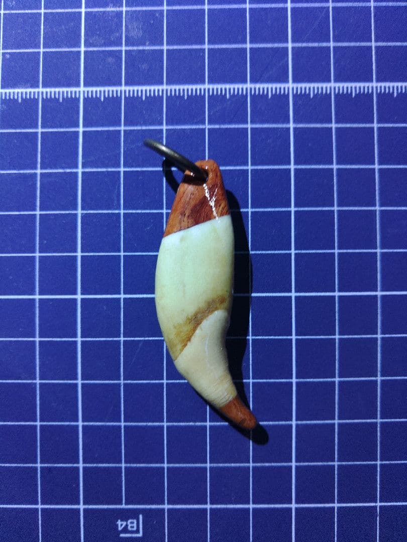 月の輪熊の牙　アクセサリー