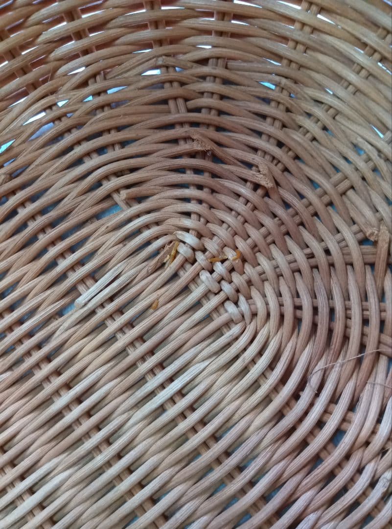 籐製　クロワッサン型ラタンバスケット　大　ワンハンドル　持ち手付きカゴ