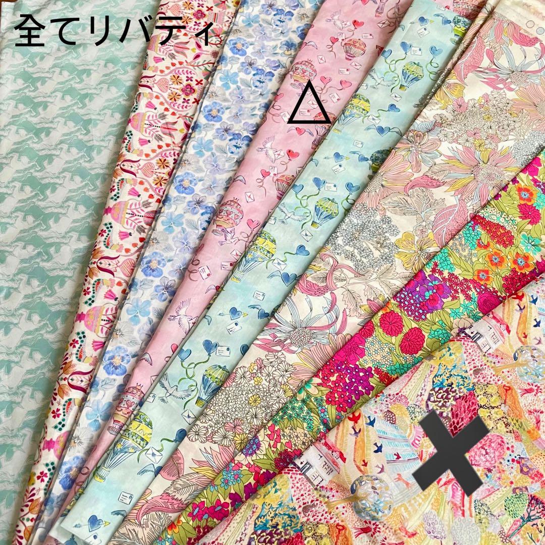 ringoページB25サイズバッグインバッグ
