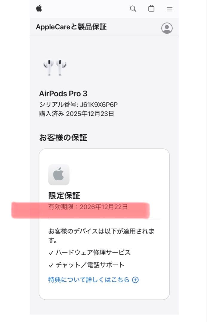 【綺麗】Apple AirPods Pro 第3世代 充電ケース