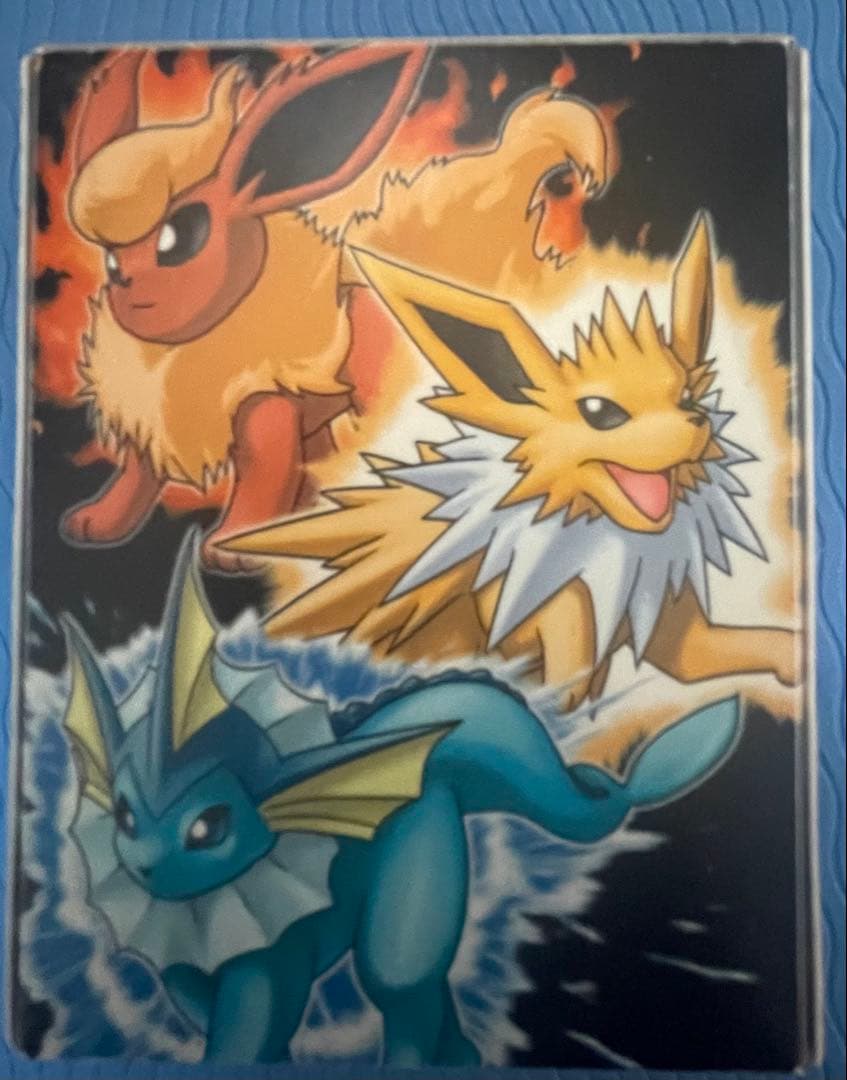 ポケモンカード　ブイズ　ハーフデッキケース　2個セット