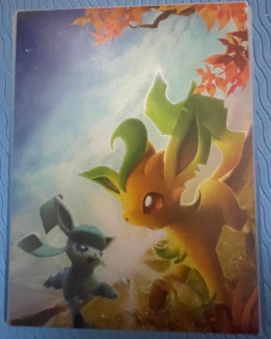 ポケモンカード　ブイズ　ハーフデッキケース　2個セット