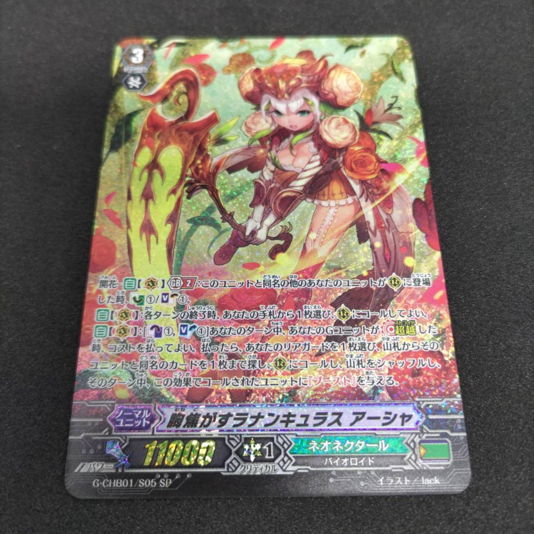 胸焦がすラナンキュラス アーシャ　sp