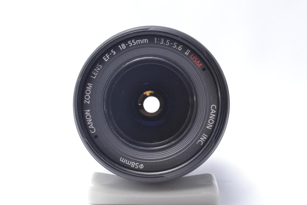Canon EOS Kiss X5 ✨標準レンズ18-55mmセット✨