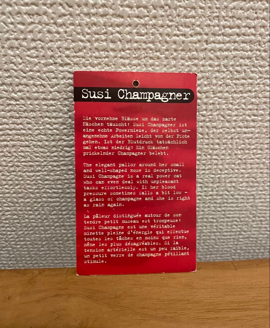 シギキッドsigikid 猫　ぬいぐるみ 茶×黒