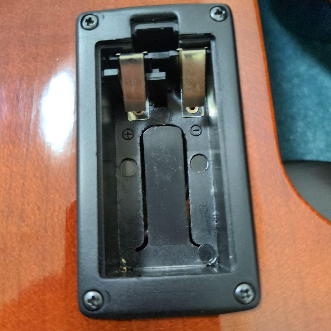 カルロジョルダーノ　エレキバイオリンCarlo Giordano