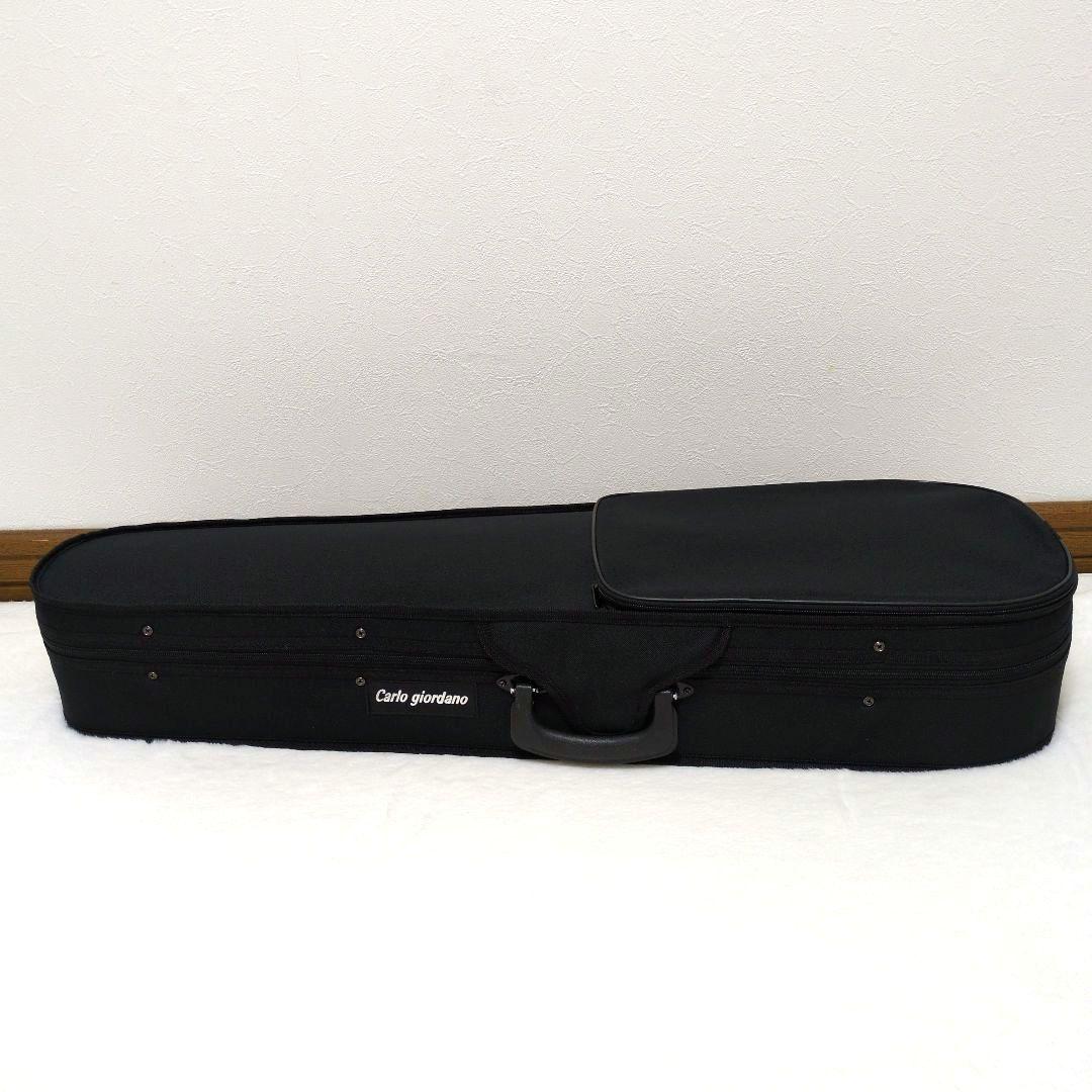 カルロジョルダーノ　エレキバイオリンCarlo Giordano