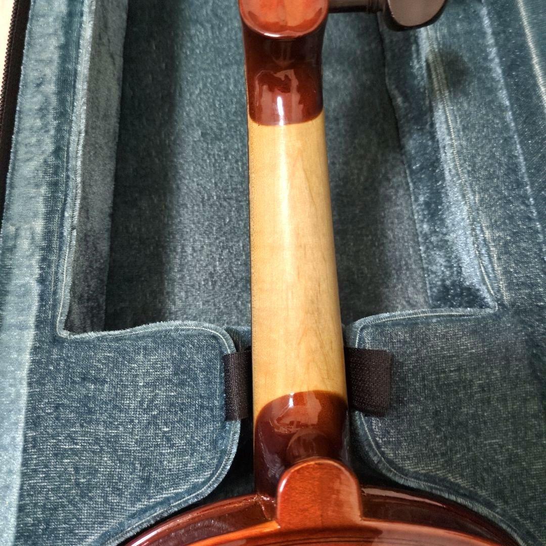 カルロジョルダーノ　エレキバイオリンCarlo Giordano