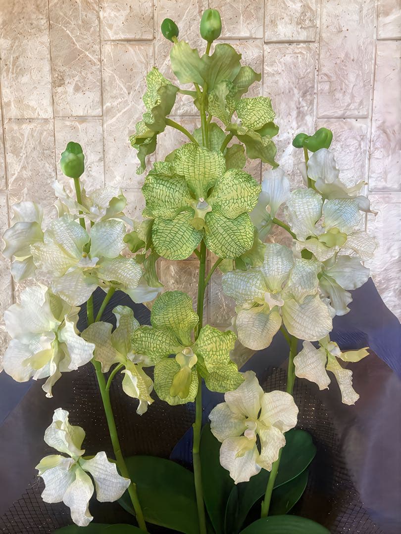 光触媒　人工観葉植物　フェイクグリーン　胡蝶蘭　パンダオーキッド8760