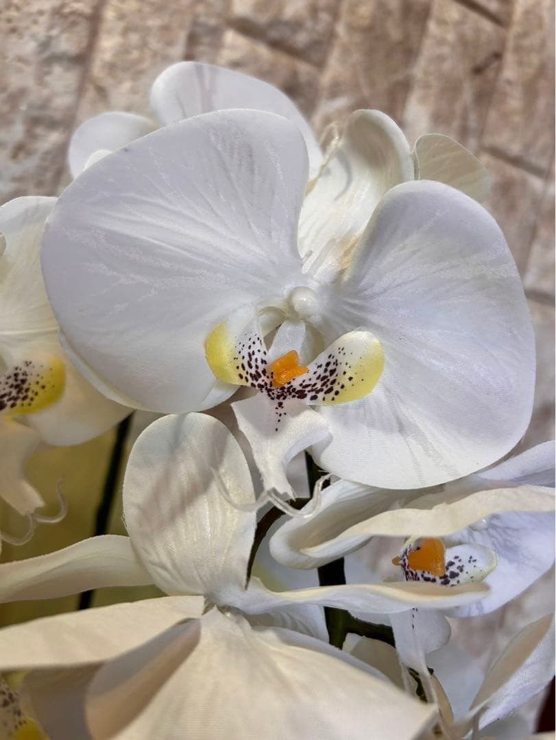 光触媒　人工観葉植物　ウォールグリーン　フェイクグリーン　胡蝶蘭アレンジ6832