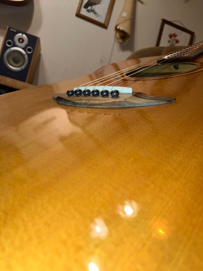 DCT GR-311 CE エレアコ